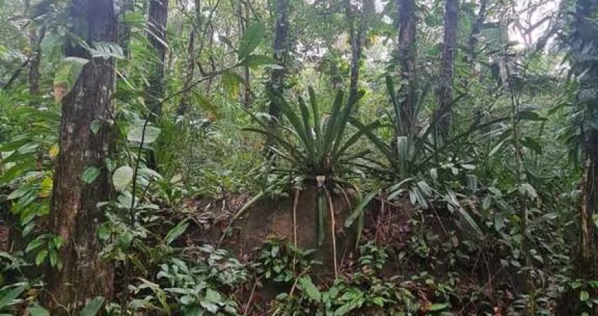 TERRENO A VENDA, 26.000 M²- SÃO PEDRO - ILHABELA/SP