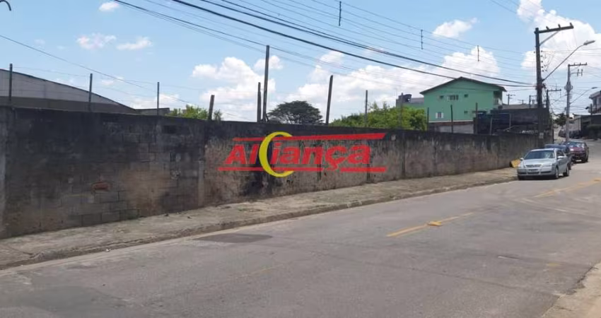 excelente terreno