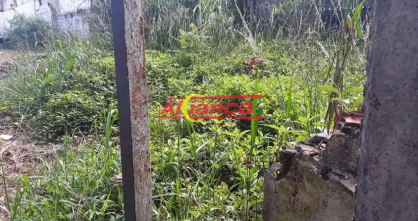 Terreno totalmente plano, ótimo para construção de um predinho
