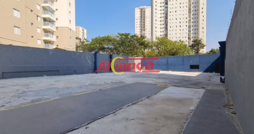 Excelente terreno comercial Macedo