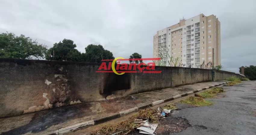 Terreno 2.800 m2 na Vila Nova Bonsucesso, totalmente limpo, pronto para ser edificado.