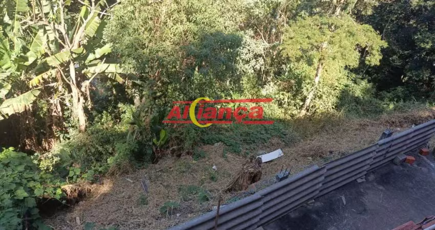 Chácara / sítio com 2 quartos à venda na Rua Annayr de Campos, 11, Boa Vista, Mairiporã