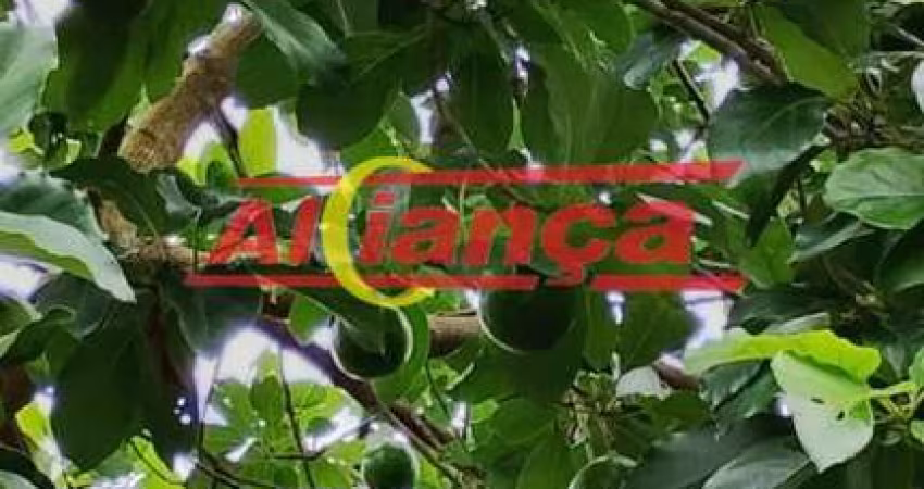 TERRENO À VENDA  EXCELENTE LOCALIZAÇÃO!  175m² (5m frente x 35m fundos)