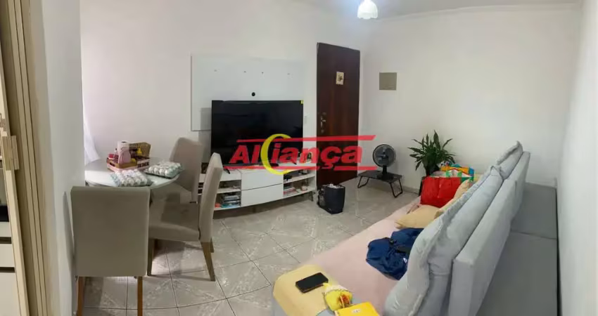 Apartamento com 2 quartos, 60 metros - vila rio / guarulhos