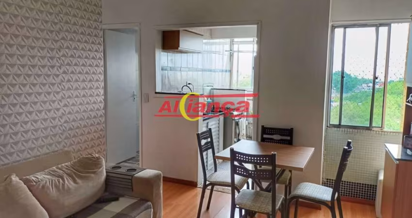 Apartamento à venda Condomínio Flávia Fernanda - Vila Rio