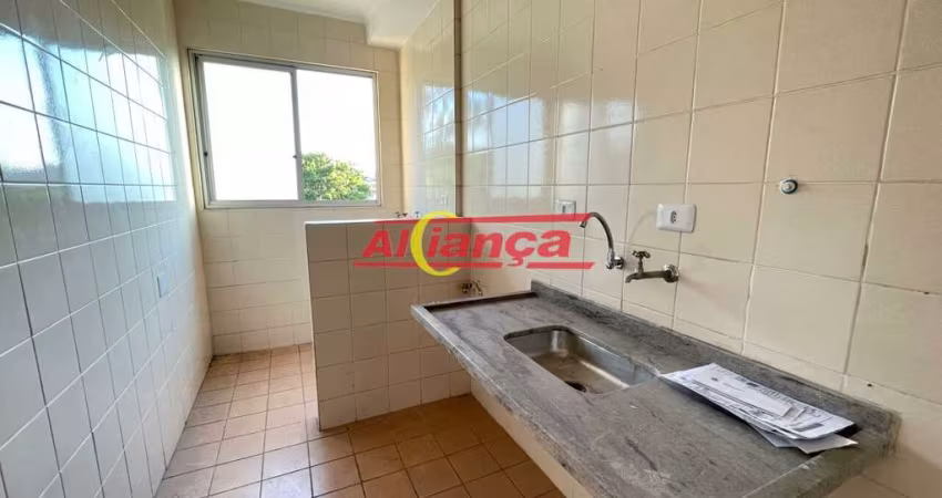 APARTAMENTO COM 2 DORMITÓRIOS À VENDA, 55 M²  - PICANÇO - GUARULHOS - SP