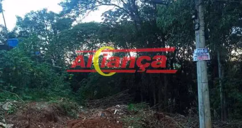 Terreno a venda, 250 m²- chacara cabuçu  - guarulhos/sp