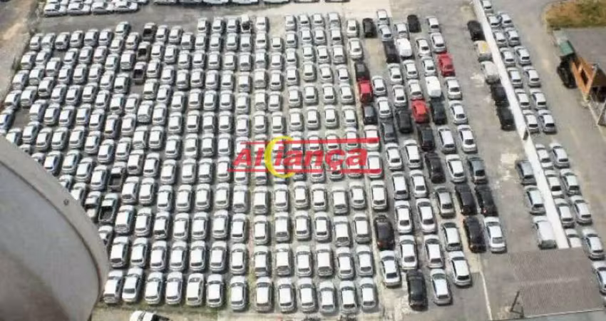 Terreno com 02 galpãos a venda de 33.669,50 m2 - tremembé/sp