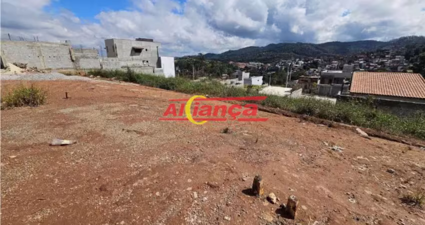 Terreno à venda na Avenida Sorata, Jardim Lenize, Guarulhos