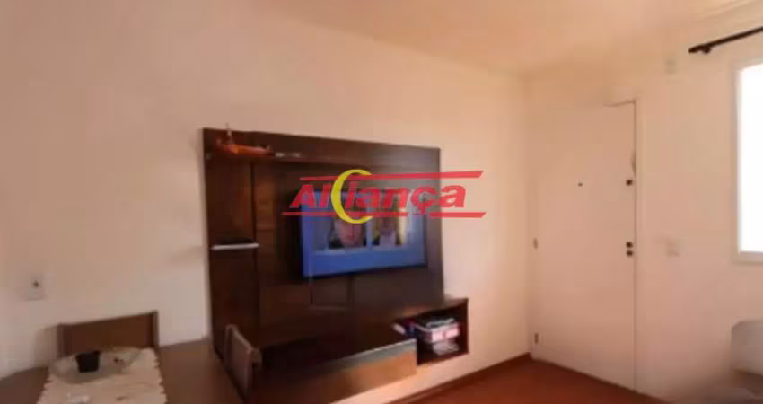 Apartamento com 2 dormitórios à venda, 42,29 m² vila milton ? guarulhos/sp