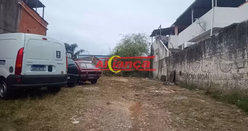 Terreno à venda na Rua Tijucas, 172, Vila São João Batista, Guarulhos