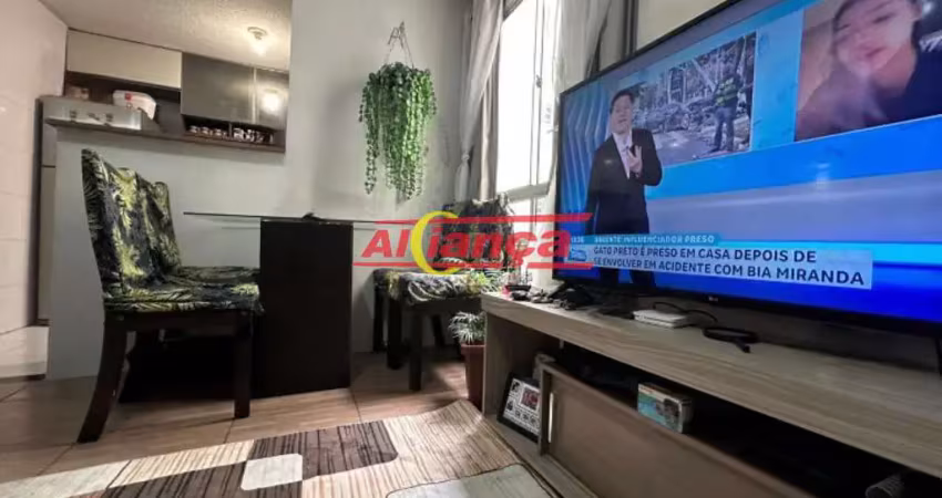 Apartamento com 2 quartos à venda na Avenida Maria Ricci Perrota, 101, Vila Alzira, Guarulhos