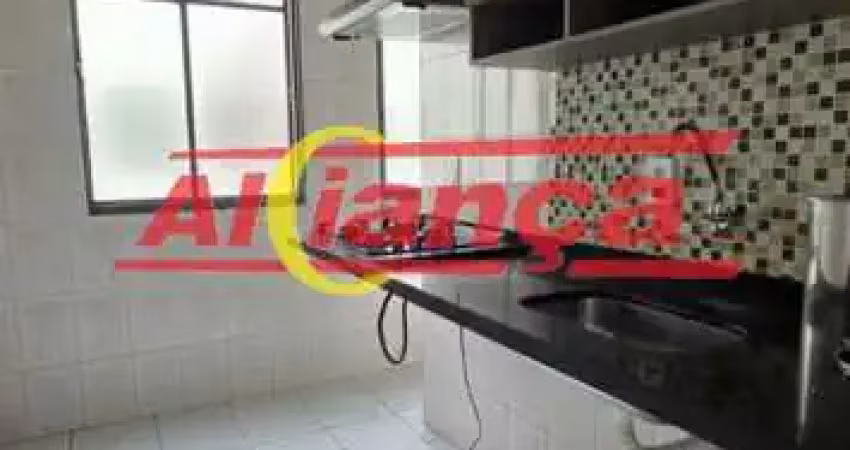 Apartamento vila rio de janeiro,  2 quartos, vaga garagem, portária 24 horas