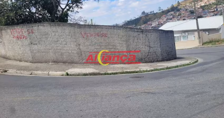 Terreno à venda na Rua Henrique Rodrigues Peres, Jardim Fortaleza, Guarulhos