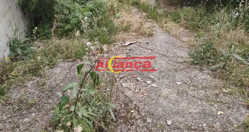 Terreno à venda na Rua Anhumas, 278, Vila São João Batista, Guarulhos