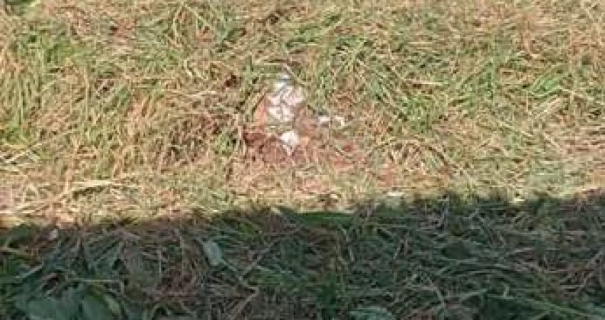 Terreno para Venda em Mogi das Cruzes, Alto Ipiranga
