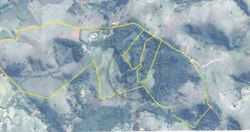 Área à venda, 48000 m² por r$ 12.000.000,00 - zona rural - cunha/sp