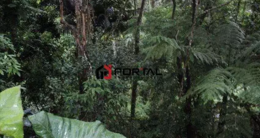 Terreno à venda na Álamos, Jardim Passárgada I, Cotia