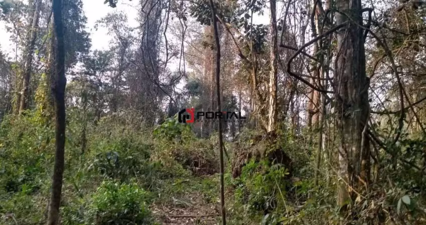 Terreno em condomínio fechado à venda na Renoir, Paisagem Renoir, Cotia
