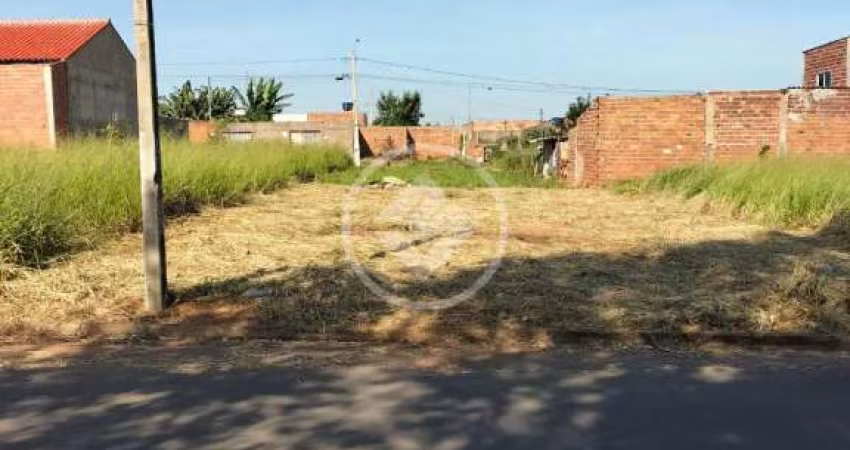 LOTE SANTA EFIGÊNIA codigo: 111942