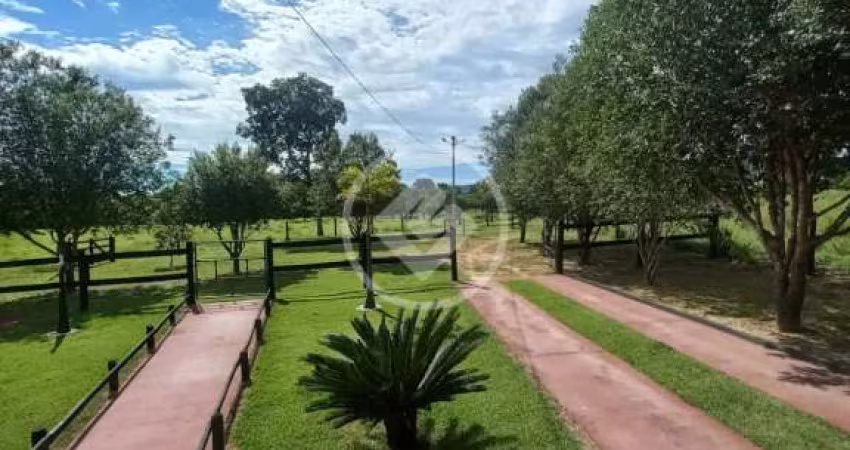 FAZENDA NO MUNICIPIO DE FAINA GO codigo: 114155