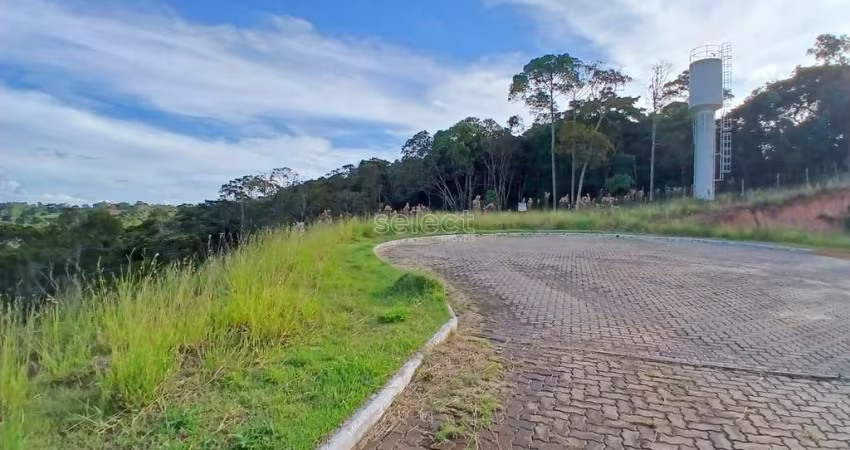 Lote / Terreno - Salvaterra