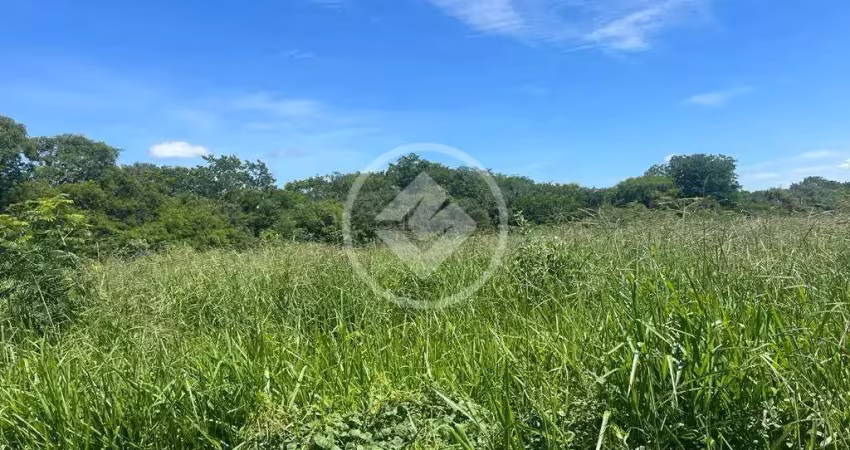 Fazenda rompe gibão - próximo a jaiba mg codigo: 89579