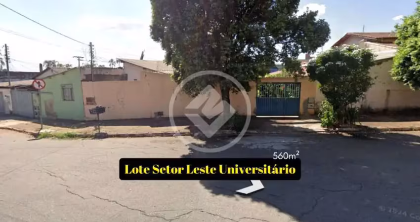 Lote para investimento -  setor universitário codigo: 106728