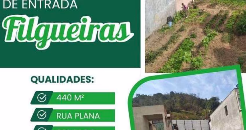 Terreno à venda, 440 m² por R$ 25.000 de entrada - Filgueiras - Juiz de Fora/MG
