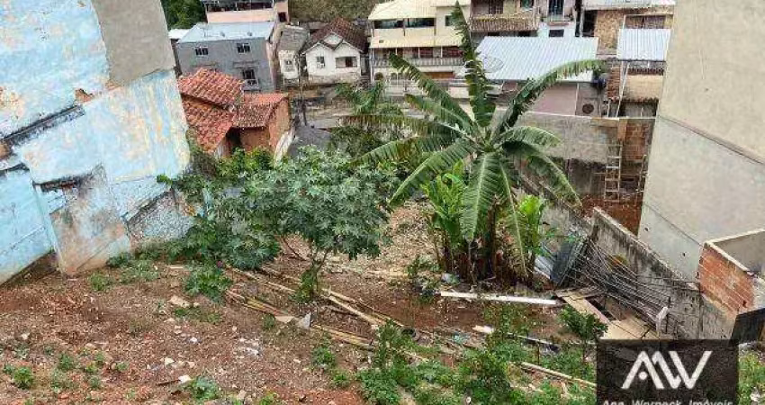 Terreno à venda, 270 m² por r$ 90.000,00 - grajaú - juiz de fora/mg