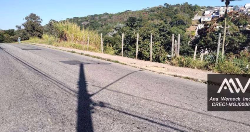 Terreno à venda, 250 m² por R$ 40.000,00 - Parque Independência - Juiz de Fora/MG