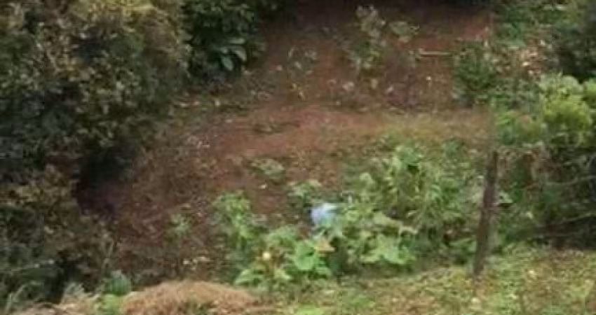 Terreno à venda, 500 m² por R$ 100.000,00 - Costa Carvalho - Juiz de Fora/MG