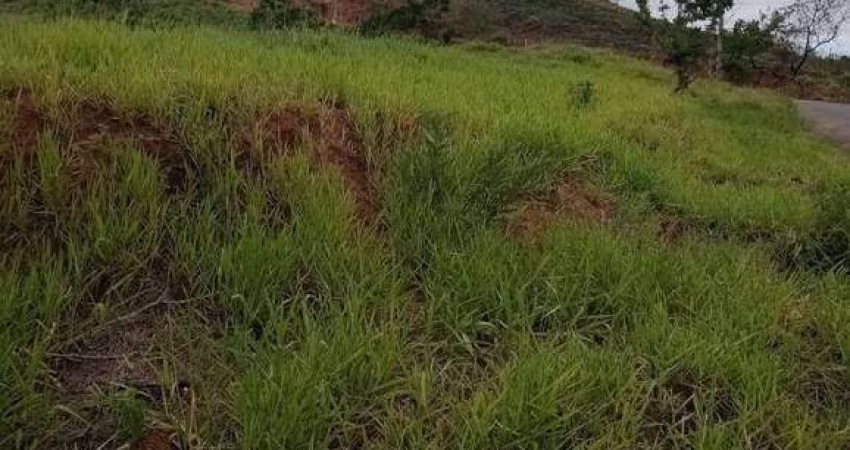 Terreno à venda, 326 m² por R$ 95.000,00 - Grama - Juiz de Fora/MG