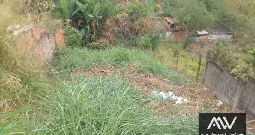 Terreno à venda, 200 m² por r$ 50.000,00 - teixeiras - juiz de fora/mg