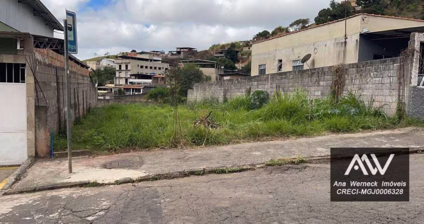 Terreno à venda, 300 m² por R$ 220.000 - Nova Benfica - Juiz de Fora/MG