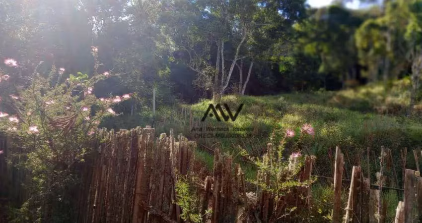 Terreno à venda, 10000 m² por r$ 162.000 - torreões - juiz de fora/mg