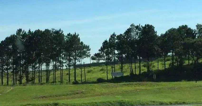 Terreno, 10900 m² - venda por r$ 3.900.000,00 ou aluguel por r$ 10.000,00/mês - vila artura - sorocaba/sp