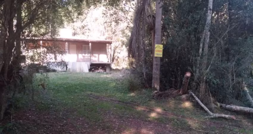 Chácara / sítio à venda na Estrada das Camelas, Colônia Murici, São José dos Pinhais