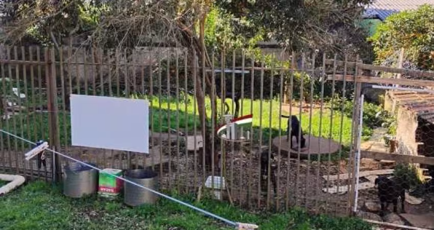 Terreno ZR3 para venda no Novo Mundo com 480m² - TE369