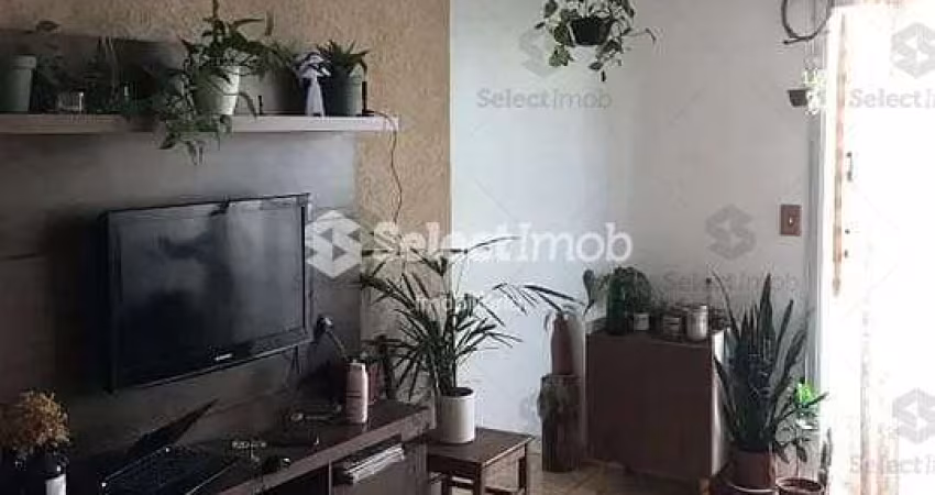 Apartamento à venda, Parque São Vicente, Mauá, SP