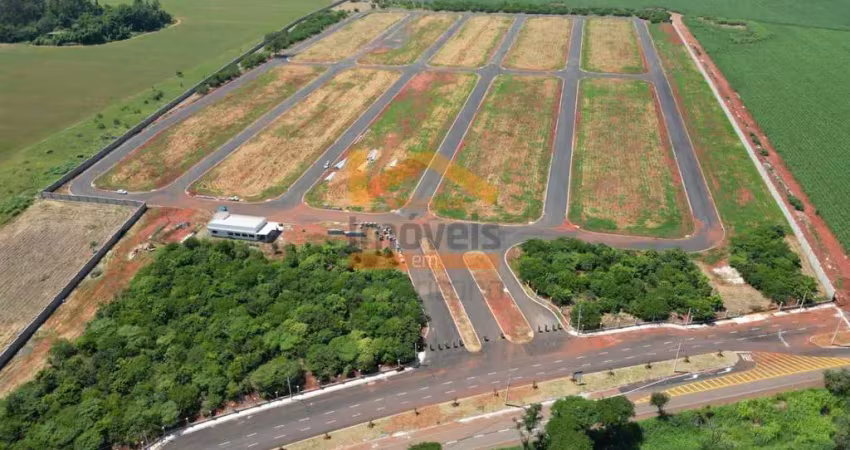 Terreno em condomínio à venda em santa barbara do oeste-sp, jardim cedros, 180m². oportunidade única!