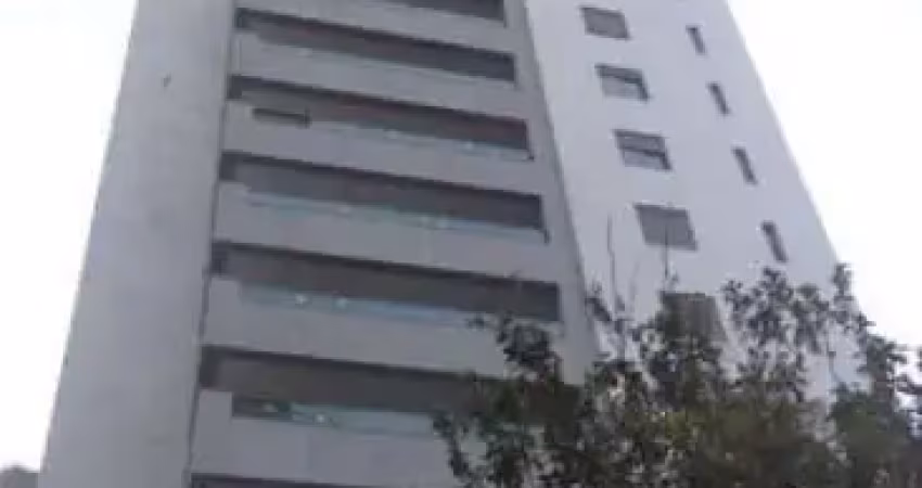 Apto 4 qts 2 suites 4 vagas 180 m2 santo agostinho b hte
