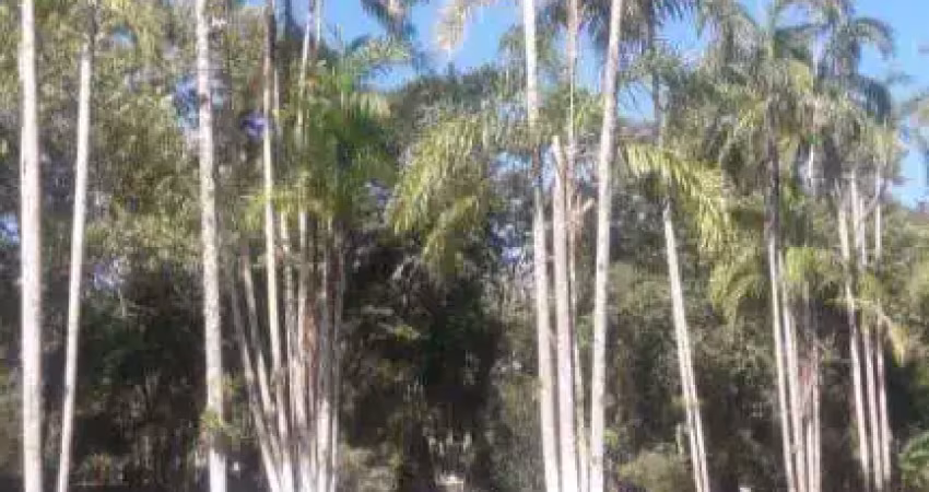 Chácara com 1 dormitório à venda, 5000 m² por r$ 350.000,00 - chácaras iporanga - peruíbe/sp