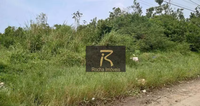 Terreno à venda, 310 m² por r$ 60.000 - balneário caraguava - peruíbe/sp