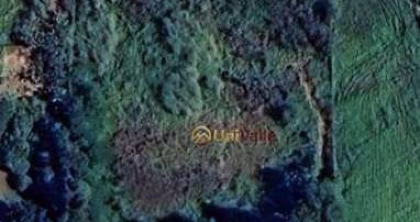 Terreno à venda, 2000 m² por R$ 550.000,00 - Chácaras Cataguá - Taubaté/SP