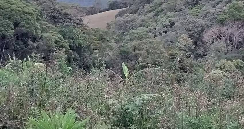 Terreno à venda na Estrada Geral, Colônia Santa Isabel, Águas Mornas