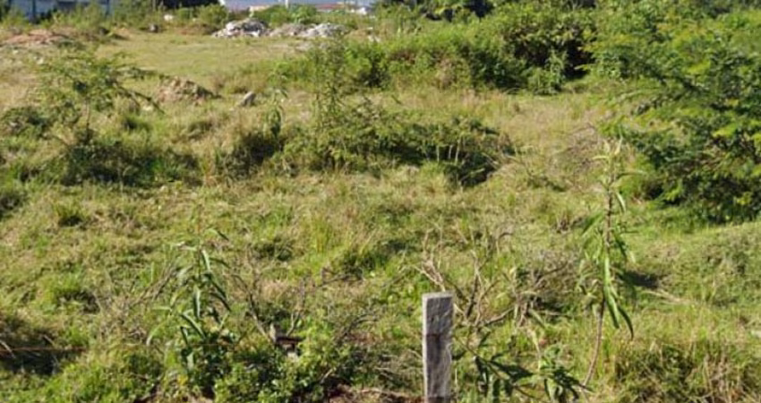 Terreno para Galpões Logísticos