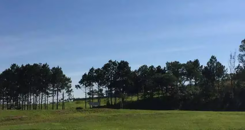 Área na rodovia castelo branco km 90,5, em frente a,toyota. terreno 10.900 m².