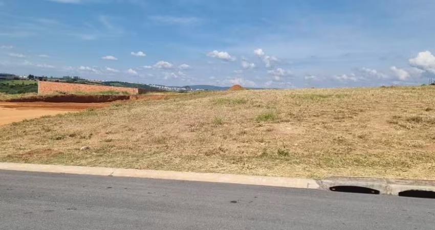 ? Oportunidade única!