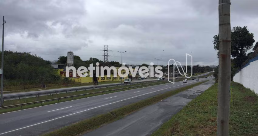 Locação Lote-Área-Terreno Santa Luzia São Gonçalo